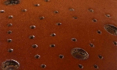 Thomas & Vine Radcliff Woven Wingtip Derby In Cognac