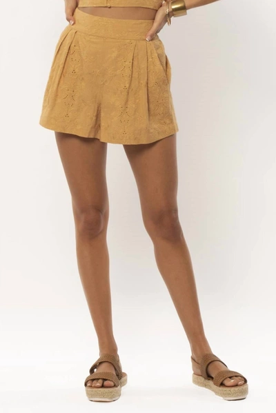 Shop Amuse Society Tala Woven Shorts In Cinnamon In Brown