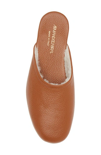Armando Cabral Quebo Genuine Shearling Lined Slipper In Cuoio