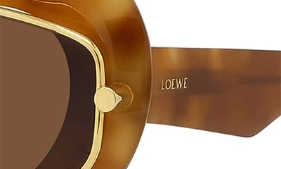 Shop Loewe Double Frame 47mm Small Cat Eye Sunglasses In Blonde Havana / Gradient Brown