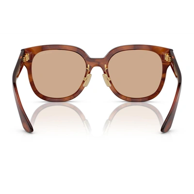 Shop Miu Miu Eyewear Sunglasses In Brown