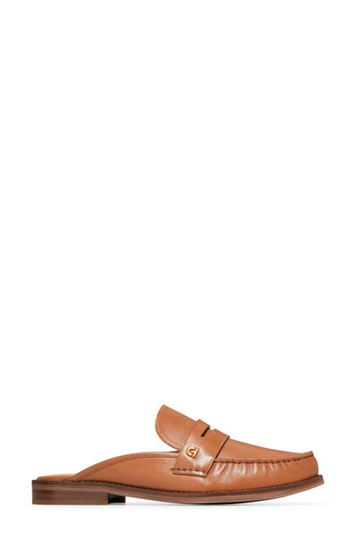 Shop Cole Haan Lux Pinch Penny Loafer Mule In Pecan Ltr