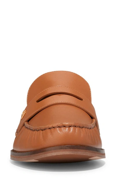 Shop Cole Haan Lux Pinch Penny Loafer Mule In Pecan Ltr