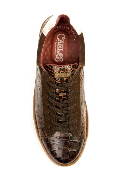 Carlos Santana Walker Reptile Embossed Sneaker In Brown