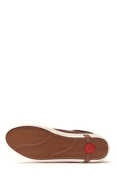 Carlos Santana Walker Reptile Embossed Sneaker In Brown