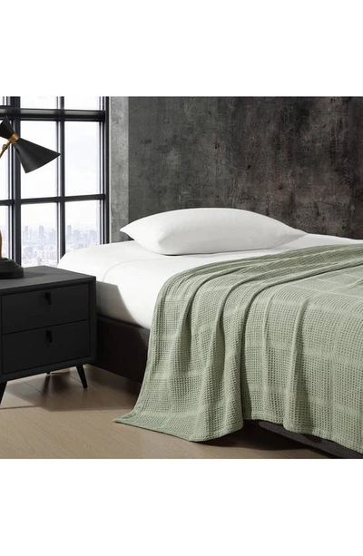 Kenneth Cole Essentials Waffle Throw Blanket In Sage Green