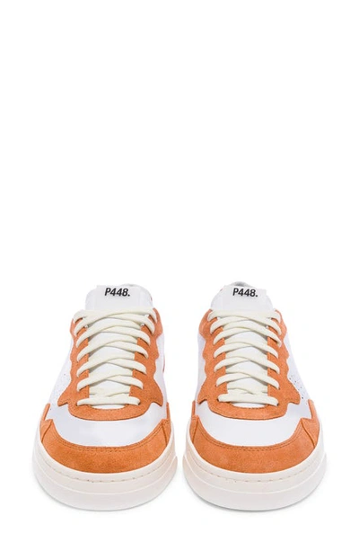 Shop P448 Bali Low Top Sneaker In Sunset/ White