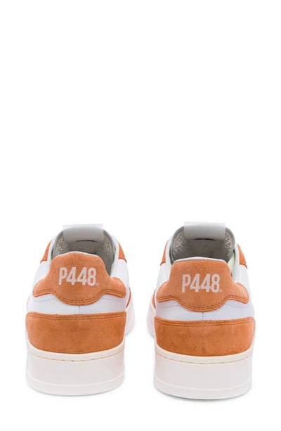 Shop P448 Bali Low Top Sneaker In Sunset/ White