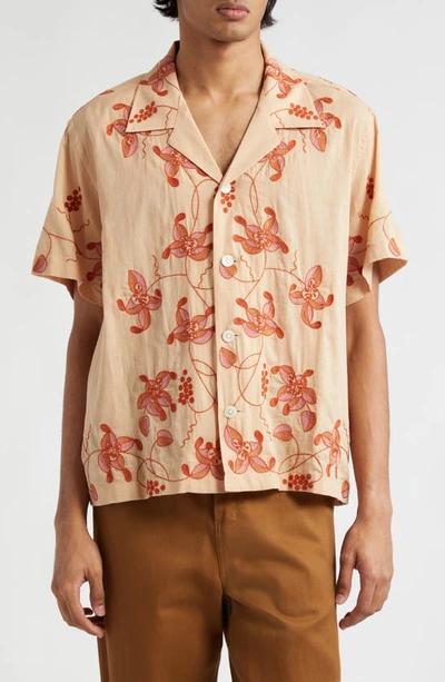 Shop Bode Bougainvillea Embroidered Camp Shirt In Pink