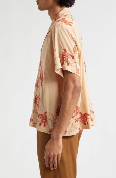 Shop Bode Bougainvillea Embroidered Camp Shirt In Pink