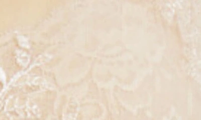 Rya Collection Plus Size Short Embroidered Lace Sheer Robe In Champagne
