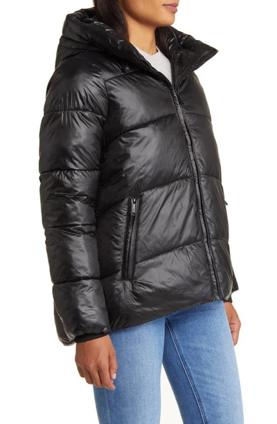 Shop Sam Edelman Hooded Puffer Jacket In Black