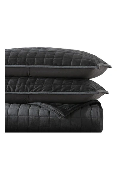 Shop Vera Wang Black Quilted Velvet Comforter Set