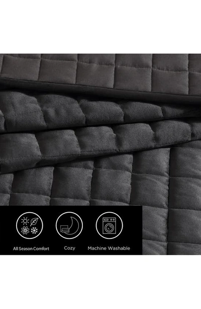 Vera Wang Black Quilted Velvet Comforter Set In Black