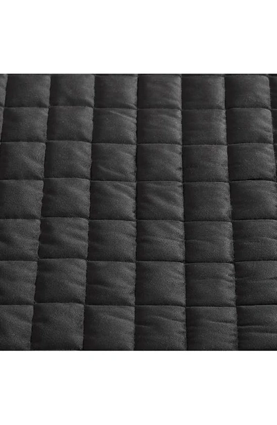Vera Wang Black Quilted Velvet Comforter Set In Black