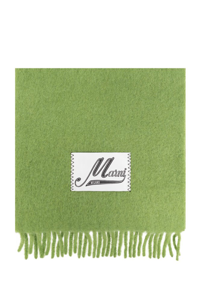 Shop Marni Logo Patch Fringed Scarf In Green