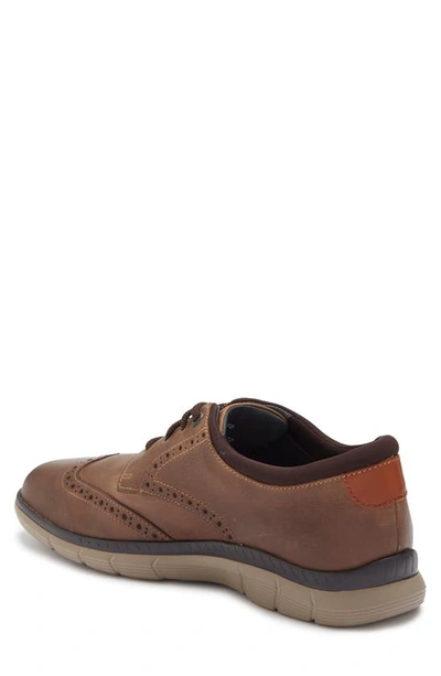Johnston & Murphy Acklen Wingtip Derby In Brown Oiled
