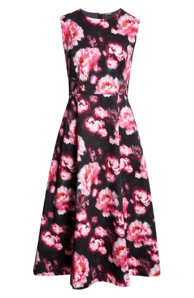Shop Adam Lippes Eloise Floral Stretch Twill Fit & Flare Dress In Black Floral