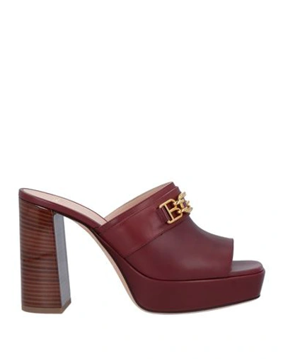 Shop Bally Woman Sandals Brick Red Size 4.5 Calfskin