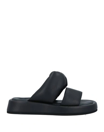 Shop N°21 Woman Sandals Black Size 8 Soft Leather