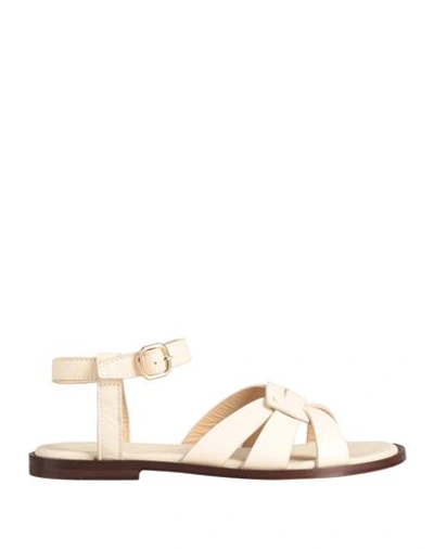 Shop Doucal's Woman Sandals Cream Size 8 Leather In White