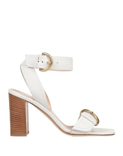 Shop Gianvito Rossi Woman Sandals White Size 5 Calfskin