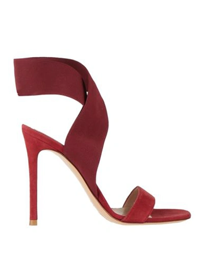 Shop Gianvito Rossi Woman Sandals Brick Red Size 5 Leather