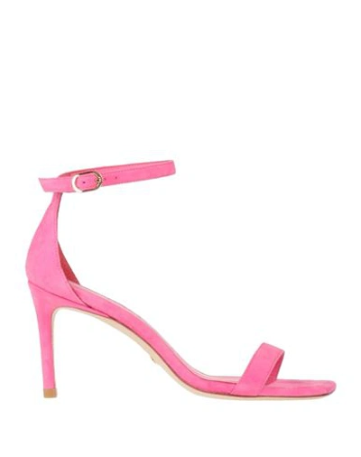 Shop Stuart Weitzman Woman Sandals Fuchsia Size 7.5 Soft Leather In Pink