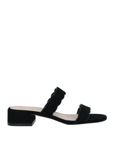 Shop Stuart Weitzman Woman Sandals Black Size 7 Soft Leather