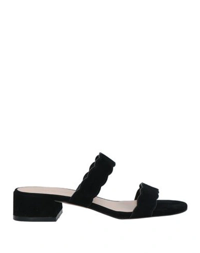 Stuart Weitzman Woman Sandals Black Size 7.5 Soft Leather In Black