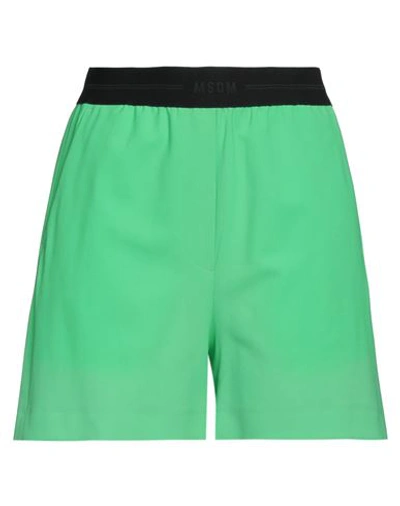 Msgm Woman Shorts & Bermuda Shorts Light Green Size 4 Virgin Wool, Elastane In Green