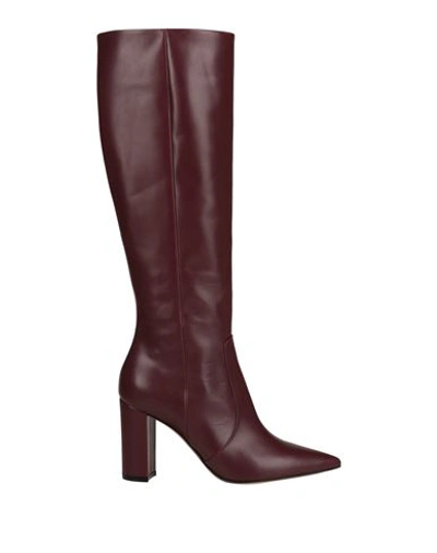 Shop Gianvito Rossi Woman Boot Burgundy Size 8 Leather In Red