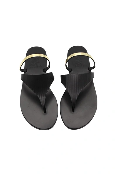 Shop Ancient Greek Sandals Drepani Sandal Shoes In Black