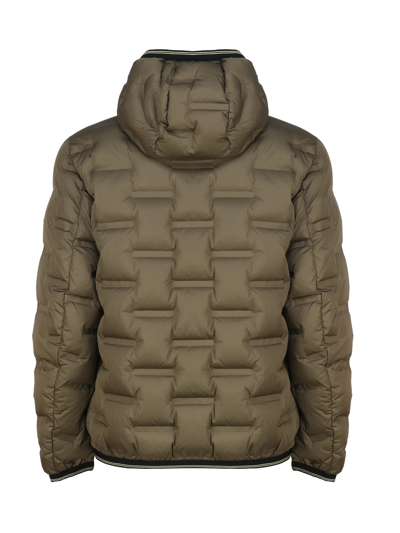 Shop Blauer Nylon Down Jacket With Rectangle Quilting In Dark Olive