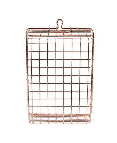 Shop Spectrum Storage Basket In Copper