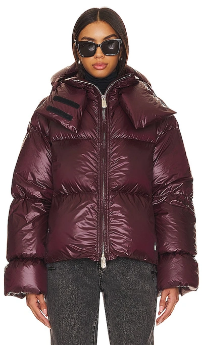 Shop Bacon Storm Puffer In New Brown