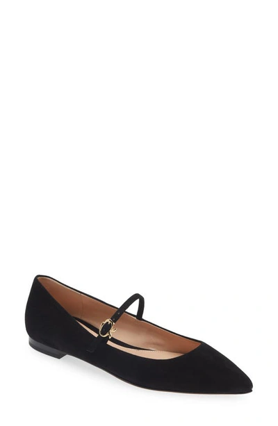 Shop Gianvito Rossi Ribbon Pointed Toe Mary Jane Ballet Flat In Black