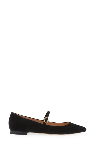 Shop Gianvito Rossi Ribbon Pointed Toe Mary Jane Ballet Flat In Black