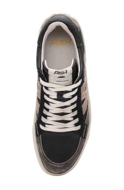 Shop Ash Moonlight Retro Sneaker In Black/ Gold