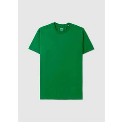 Shop Colorful Standard Mens Classic Organic T-shirt In Hunter Green