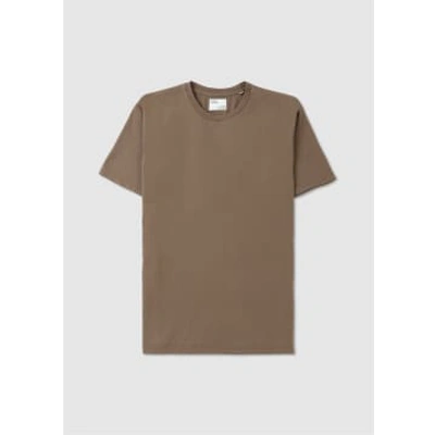 Shop Colorful Standard Mens Classic Organic T-shirt In Warm Taupe