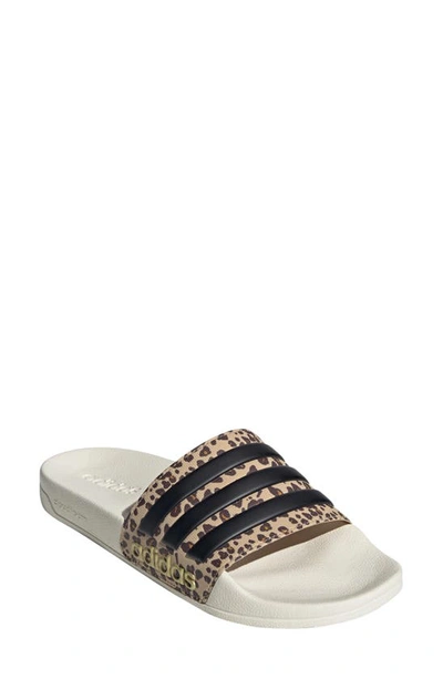 Shop Adidas Originals Adidas Adilette Shower Slide Sandal In Off White/black/beige