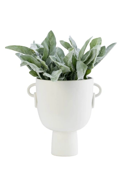 Shop Sagebrook Home Ceramic 10-inch Vase In White