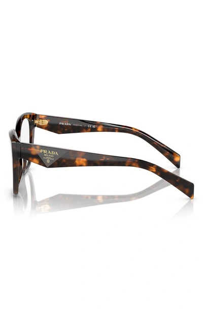 Prada 53mm Square Optical Glasses In Honey