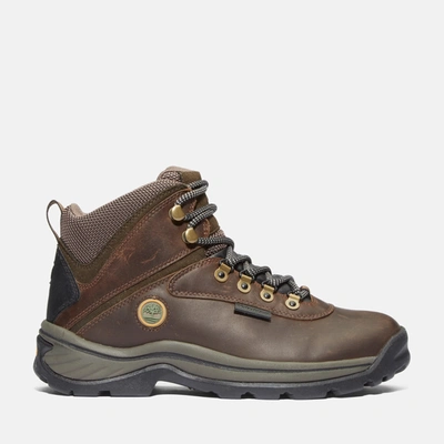 Shop Timberland Women's White Ledge Waterproof Mid Hiker Boots In Brown