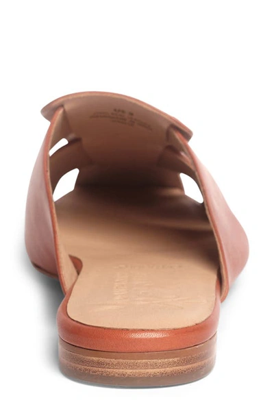 Anthony Veer Mia Mule In Exuberance