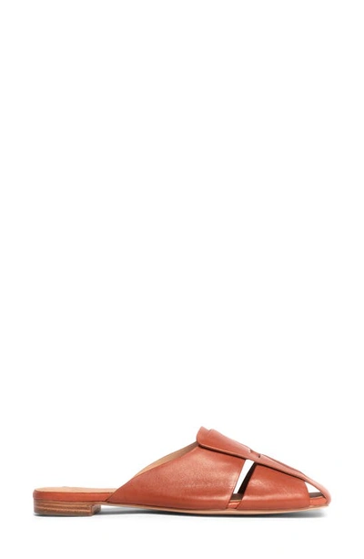 Anthony Veer Mia Mule In Exuberance