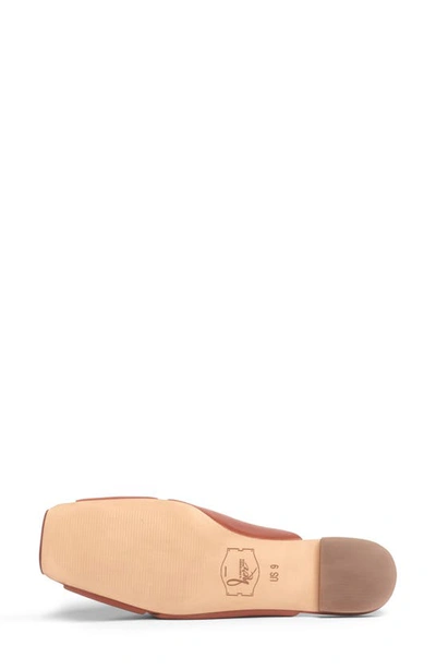 Anthony Veer Mia Mule In Exuberance