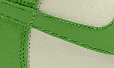 Shop Nike Dunk High Basketball Sneaker In Chlorophyll/ Chlorophyll-sail