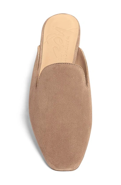 Shop Anthony Veer Lara Mule In Khaki